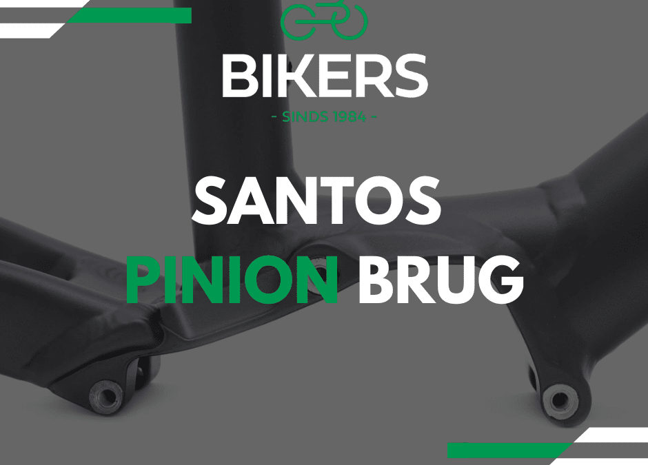 Santos Pinion brug
