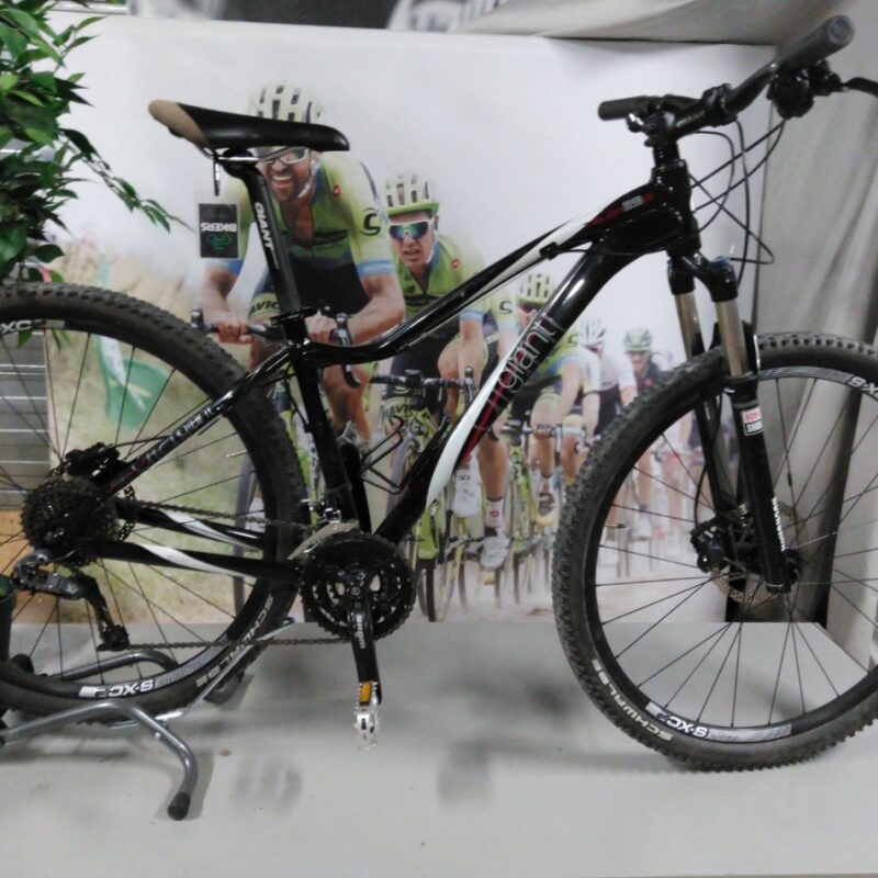 Giant Talon 29-43 cm