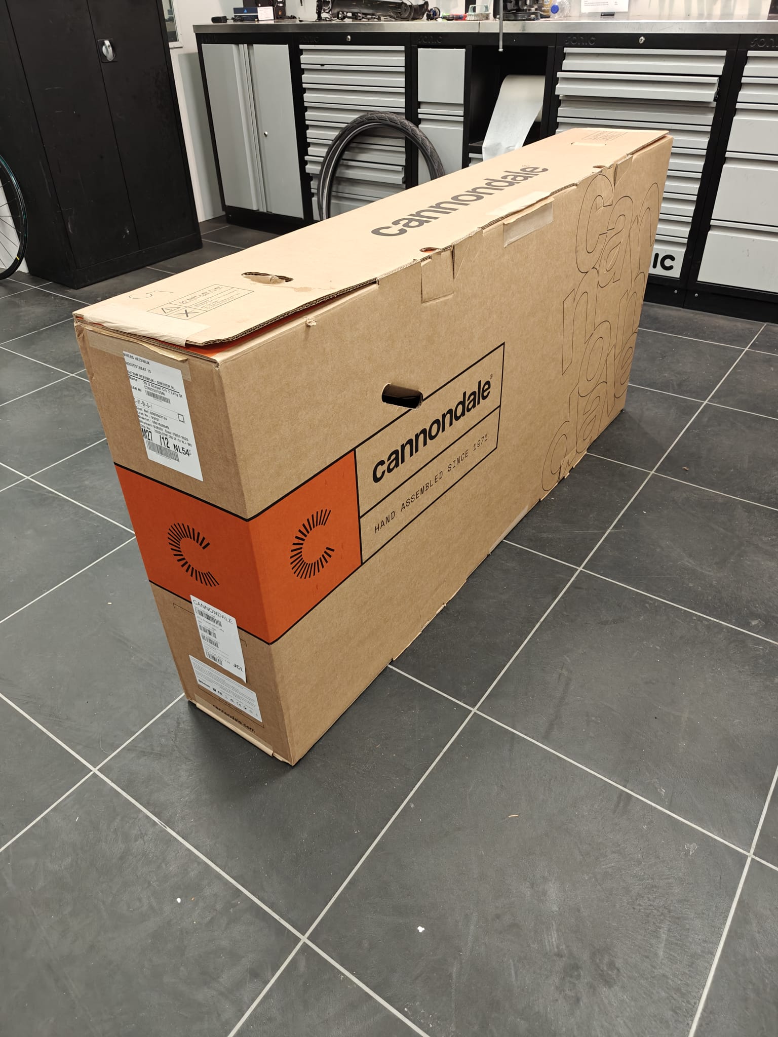 WhatsApp Image 2026-01-22 at 10.19.08